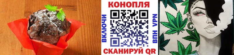 Купить закладки  Саранск  Cannafood конопля 