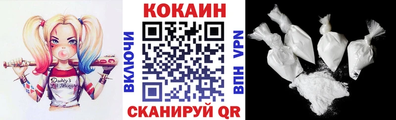 Купить закладки  Саранск  Кокаин FishScale 