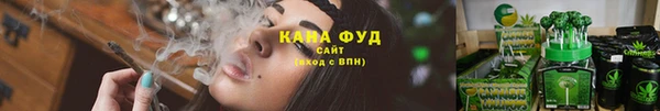гидропоника Ельня