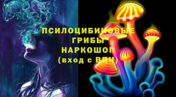 герыч Елизово