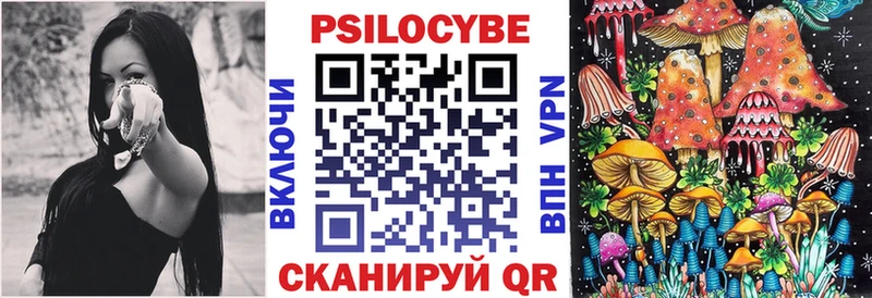 Купить закладки  Саранск  Галлюциногенные грибы Psilocybine cubensis 